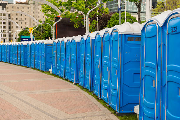 Trusted Edmore, MI Portable Potty Rental Experts